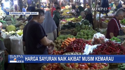 Musim Kemarau Picu Kenaikan Harga Sayuran di Pasar Rebo Purwakarta