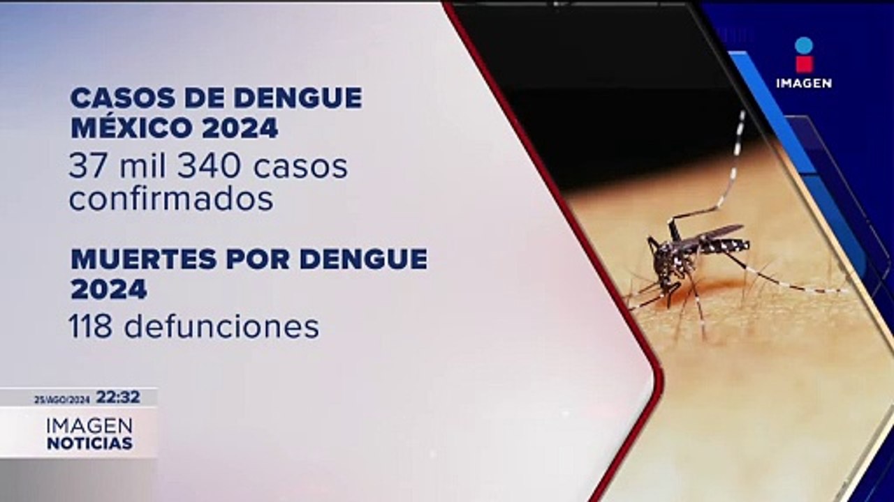 Casos confirmados y muertes por dengue en México en lo que va de 2024