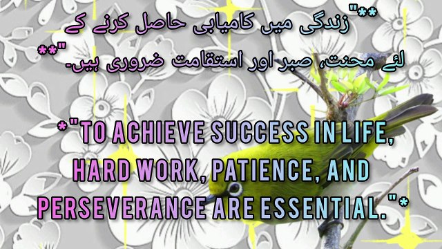 Daily Motivation: Profound Islamic Quotes for Spiritual Growth Top Islamic Quotes for Inner Peace and Guidance