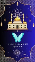 "Guidance and Comfort in the Quran: Surah At-Talaq & Surah Ash-Sharh"
