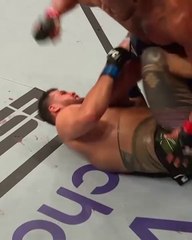 They threw caution to the wind! 