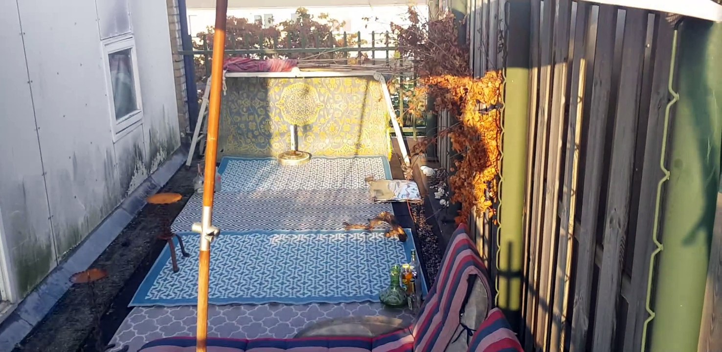 2024 roofterrace of double Happiness sunrise