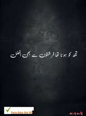 Hayyyy Insan urdu poetry states  shayari