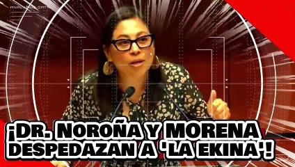 ¡VE! ¡El Dr. Noroña y morena despedazan a ‘la ekina kaballán’ por burlarse de su admiración a AMLO!
