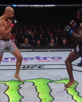 Artist crafting masterpieces with every stroke