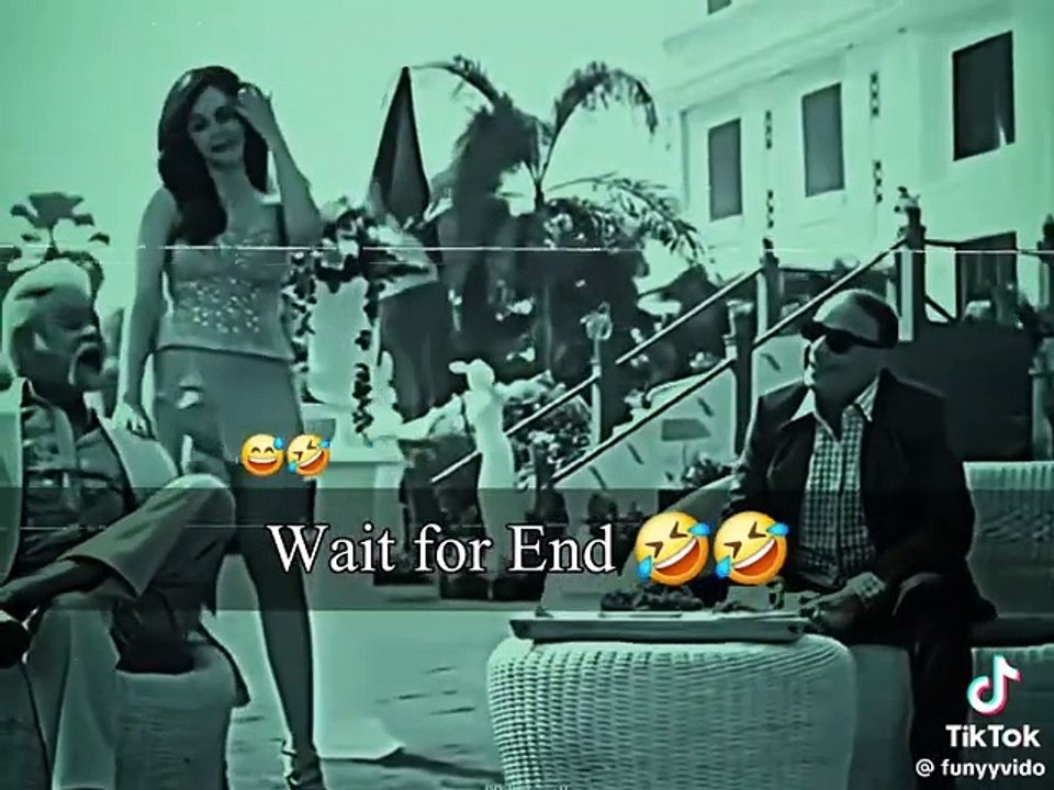 Funny videos 