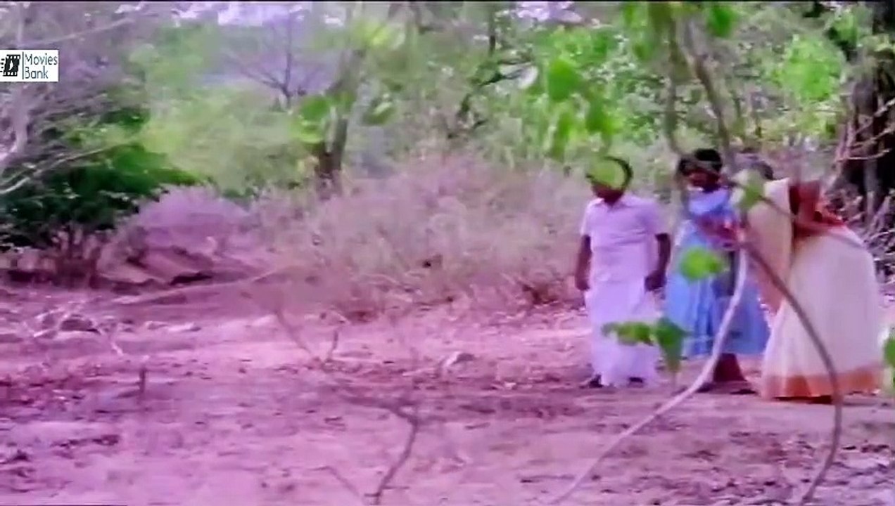 Chota Nagraj  Superhit Full Hindi Movie  Sathyaraj, Seeman, Mrithula, Komal Sharma