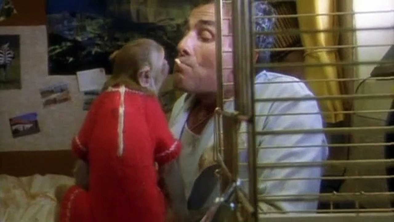 Küstenwache S02E10-Unsichtbarer Feind