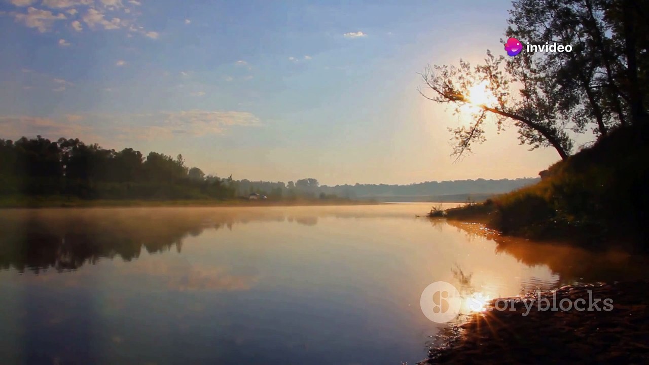 Music Video: Guiding Light