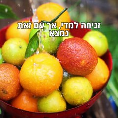 האם האורגני באמת יותר בריא גלו את התשובה!, האם ירקות אורגניים באמת טובים יותר בדקנו את זה, האם מזון אורגני בריא יותר, האם שווה לשלם יותר האמת על ירקות ופירות אורגניים!, אורגני לעומת לא אורגני פירות וירקות