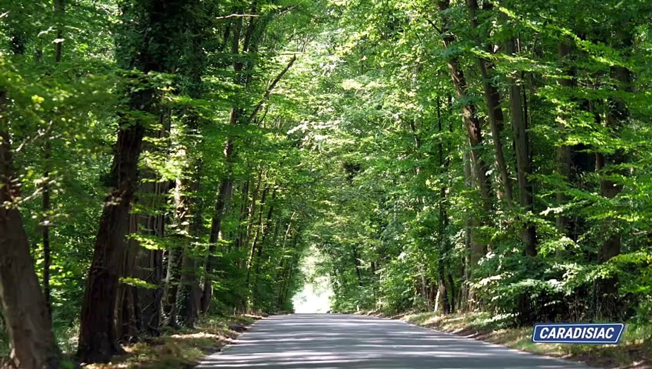 A quoi bon dépenser plus de 40000 € pour une nouvelle Volkswagen Golf SW ?