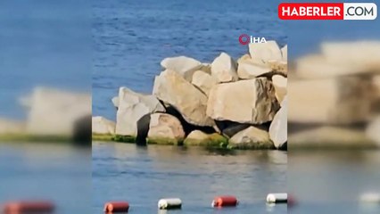 Yalova'da arama kurtarma çalışmalarında heyecanlandıran görüntü