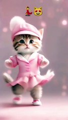 y2mate.com - Kaathu mela viral cat dance  cutecatdancing viralvideo shortsfeed_v720P