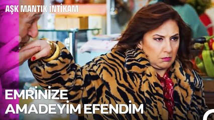 Aşk Oyunlarına Yepyeni Bir Heyecan - Aşk Mantık İntikam