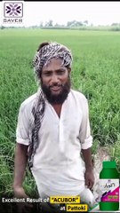 Excellent Result of "ACUBOR" at Pattoki