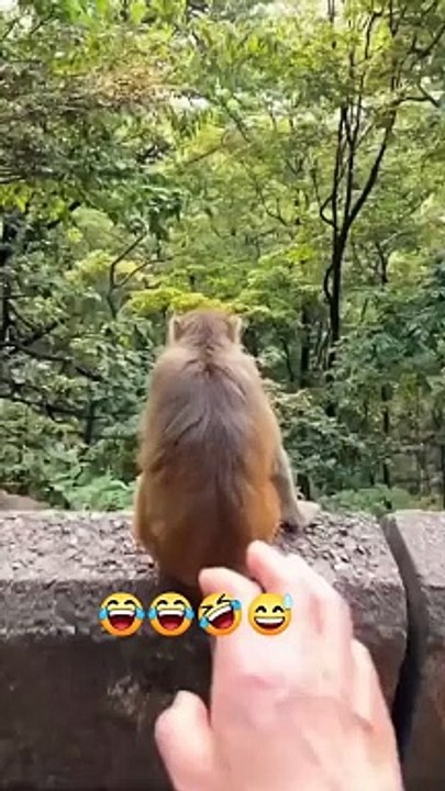 Funny video