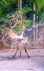 Bamboo toys hand made craft