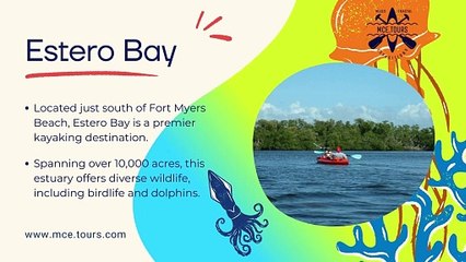 Top 5 Kayaking Spots in Naples and Bonita Springs, Florida