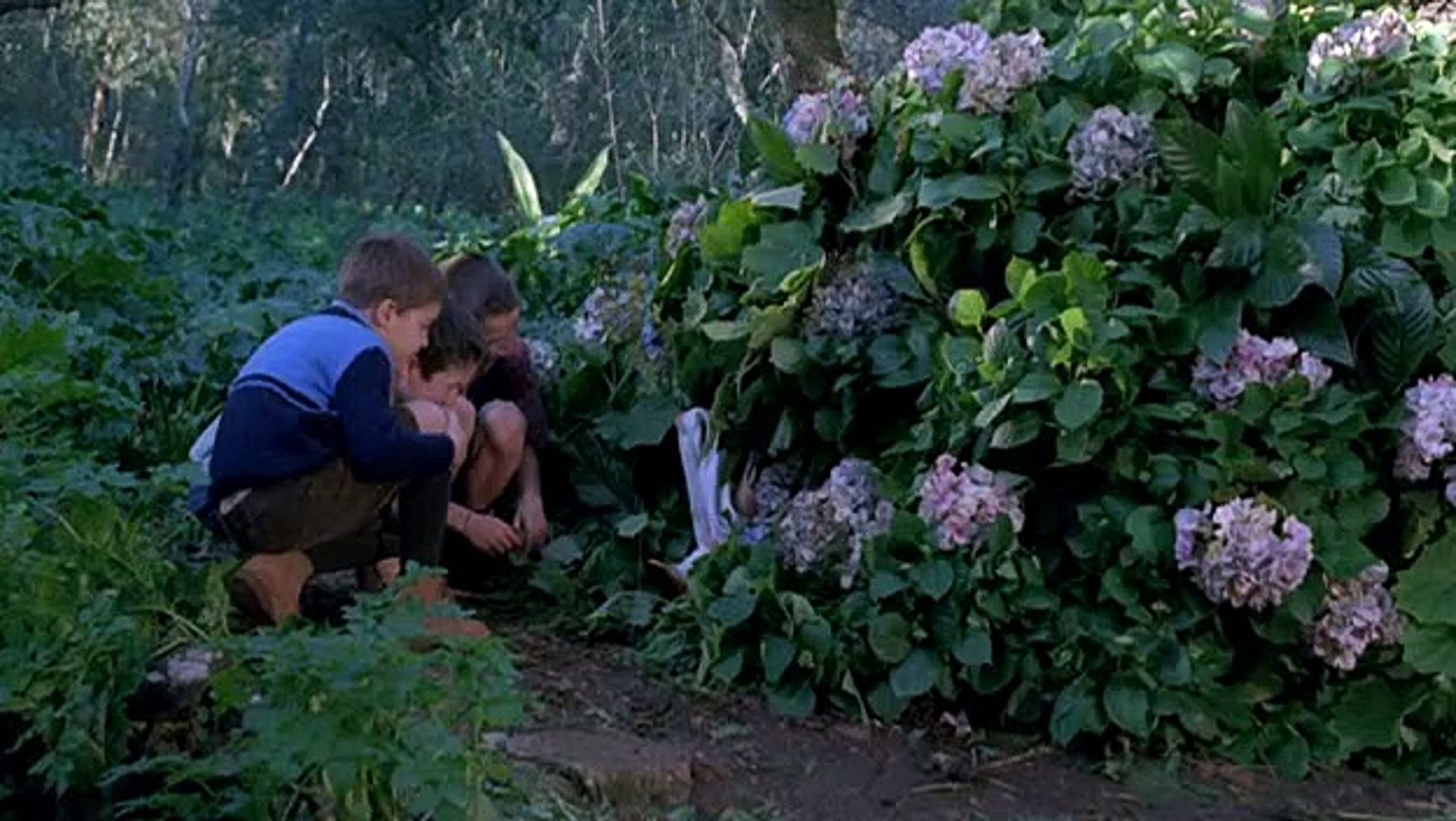 Anatomy of Hell Anatomie de l enfer 2004 Drama