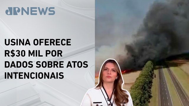 Kellen Severo: Queimadas e incêndios criminosos causam destruição