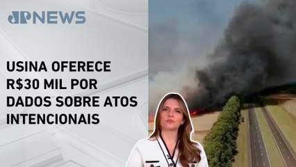 Kellen Severo: Queimadas e incêndios criminosos causam destruição