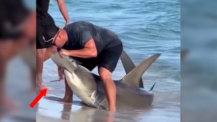 Un tiburón muerde por error el anzuelo de un pescador y el gesto de alto riesgo para salvarle la vida hace que tengamos fe en la humanidad