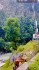 BALAKOT,,,, Balakot is hilly green area