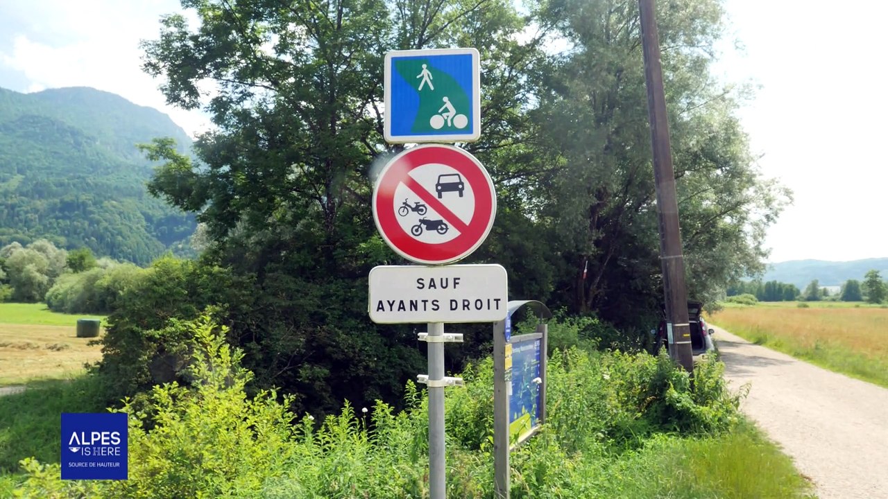 Alpes Is Here - ETE 2024 - Via Chartreuse : un écrin de verdure et de fraîcheur