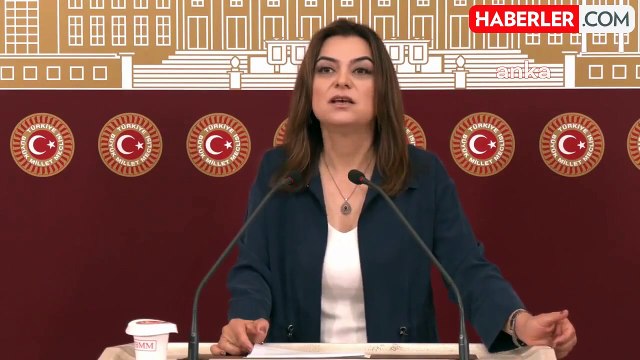 DEM Parti Grup Başkanvekili Gülistan Kılıç Koçyiğit, Cumhurbaşkanı Erdoğan'ın sözlerine yanıt verdi