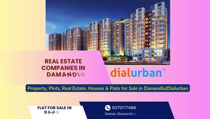 Best Real Estate Companies in Damandiu