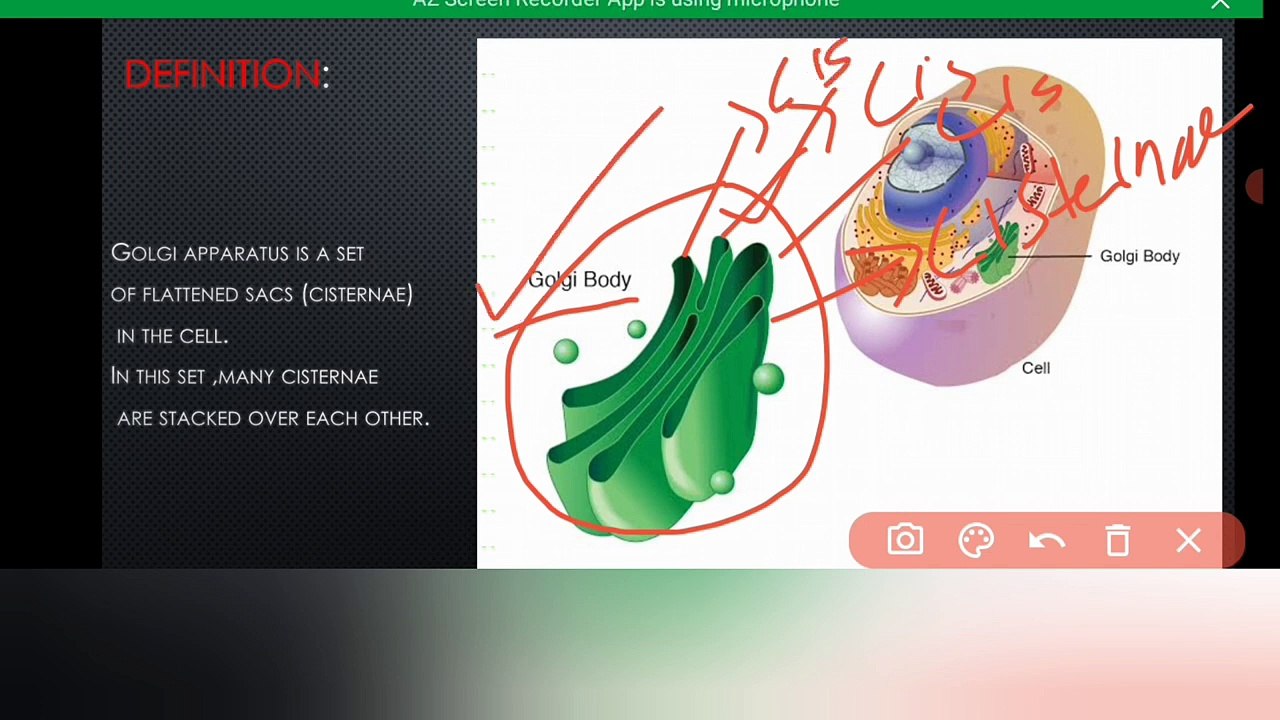 Golgi apparatus class 9 Biology in Urdu | Golgi complex | Lec # 12 | chp #4 | cells and tissues