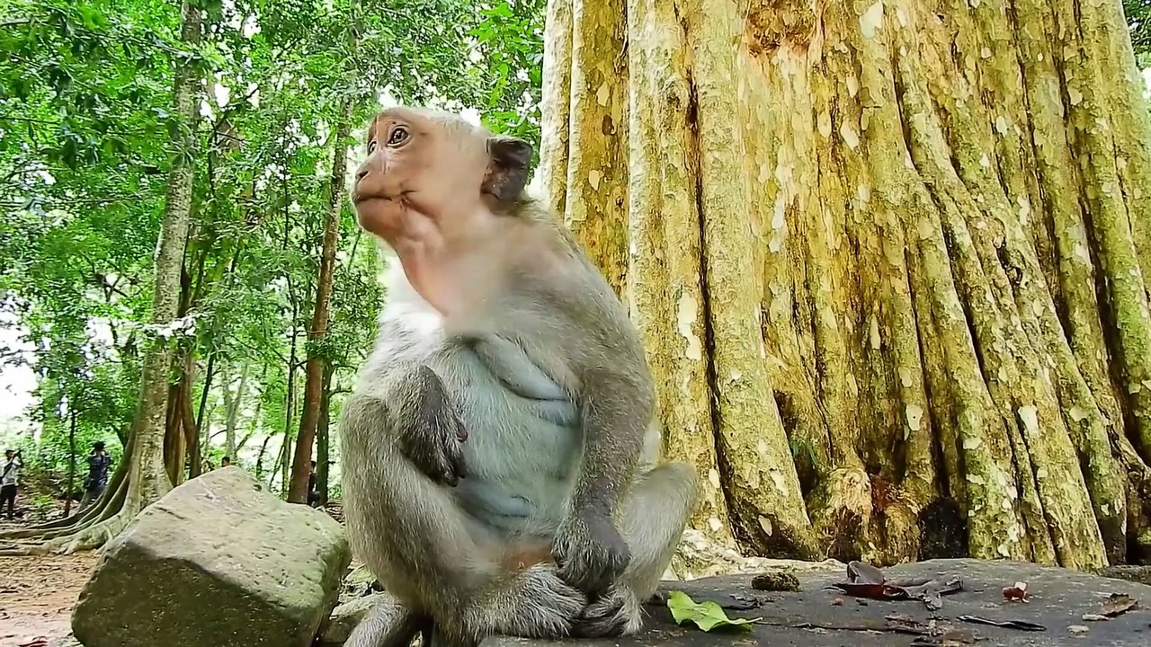 Jazzy Waiting Mom Jane Come And Pick Up On The Tree