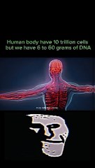 Discover The Finder Zone! 🔍