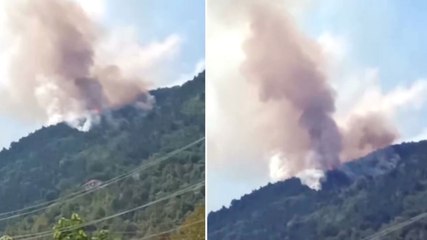 Zonguldak'ta orman yangını