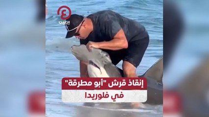 إنقاذ قرش "أبو مطرقة" في فلوريدا