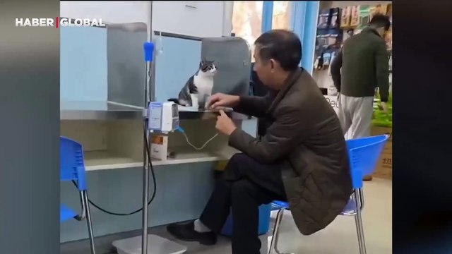 Serum alan kedinin sahibini gördüğü anda yaptıkları izlenme rekoru kırdı