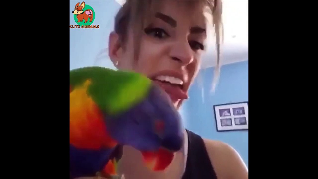 Part 2 Best Funny Animals - Cutest Animals Ever