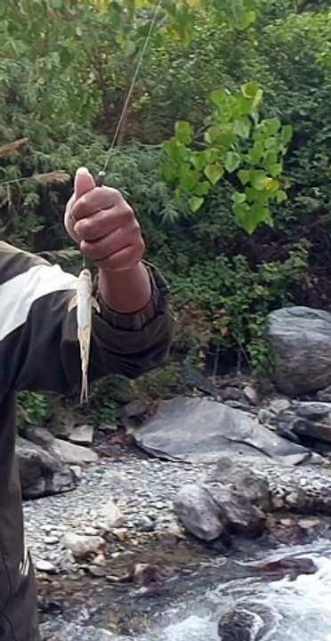 Hook and Rod Fishing in Nepal | Himalayan Trout FIshing in Nepal | Angling with Bamboo Stick |