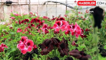 Muğla'nın tarımsal ürünleri dünyaya açılıyor