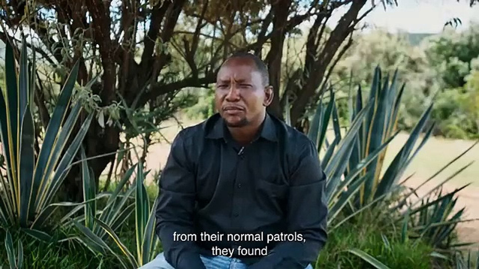 ⁣Saving Endangered Animals From Extinction-Mr Beast
