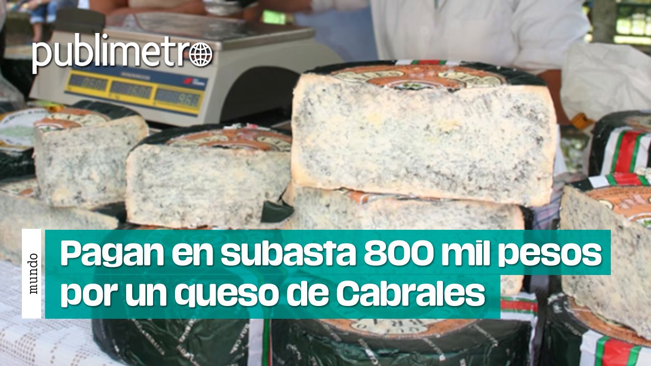 ¿A qué sabrá? Pagan en subasta 800 mil pesos por un queso de Cabrales
