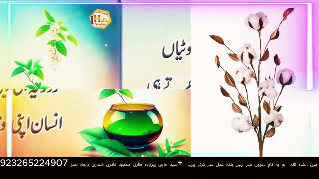 Mat Daren, Kamyab Honge: Safar-e-Jidd o Jahd Ki Kahani