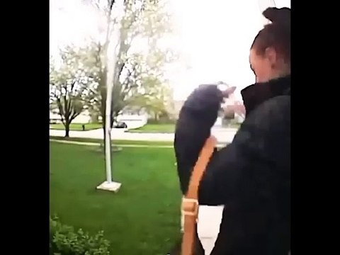 Funny video #funny #viral #trending #comedy #short #viralshorts #entertainment #fun