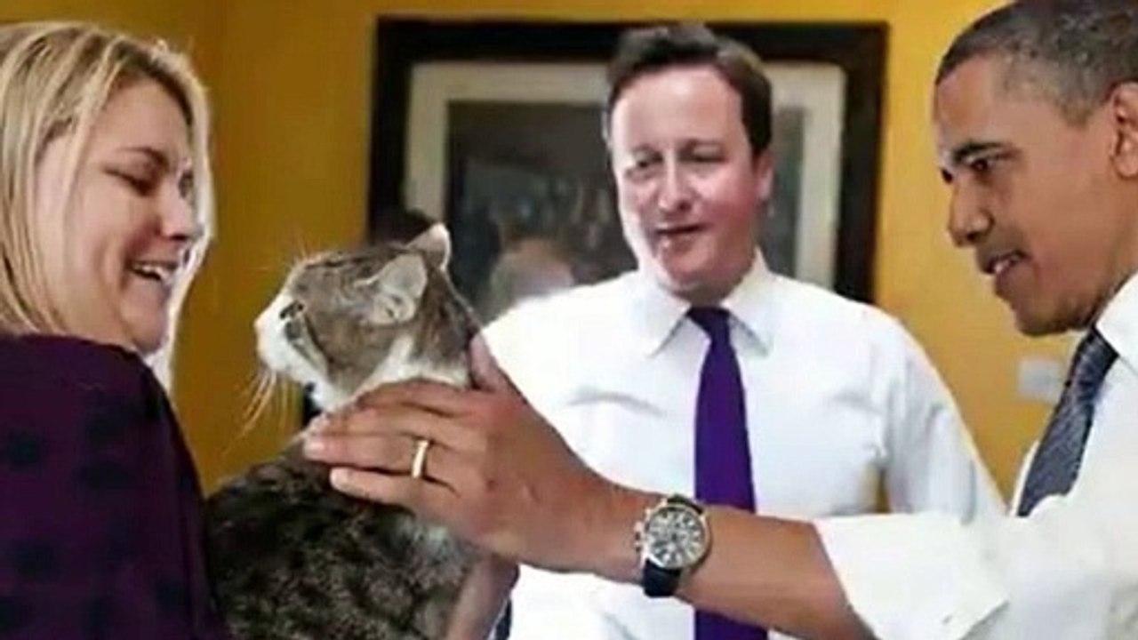 Larry the Cat: Downing Street’s Iconic Chief Mouser