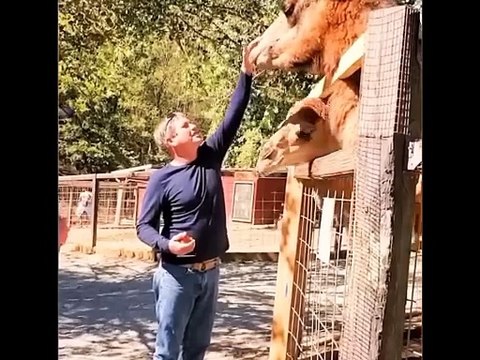 Funny video #funny #viral #trending #comedy #short #viralshorts #entertainment #fun