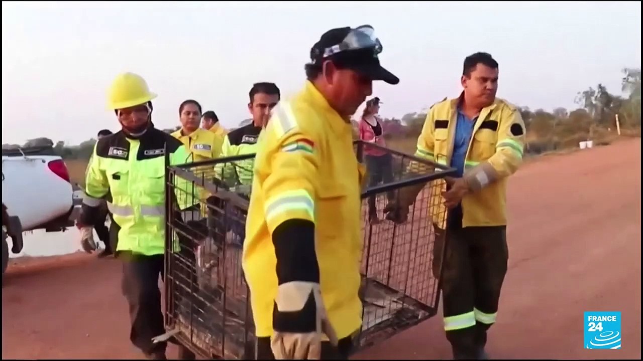 Bolivia: casi dos millones de hectáreas calcinadas por incendios forestales en Santa Cruz