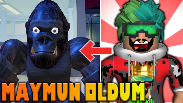 Maymun Olduk Şehri Dağıttık | Roblox Goril | Roblox Türkçe Han Kanal Buse Duygu Pratik Oyun