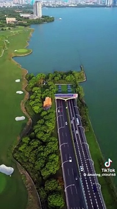 Amazing  Chinese under River