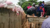 Fortes chuvas deixam 22 mortos na Tailândia