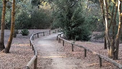 Pixel 9 - 4k60fps estabilizacion fija